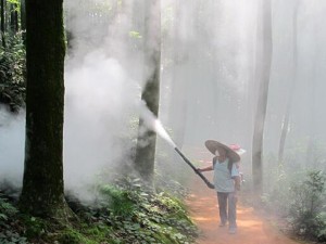 惠阳森林病虫害防治